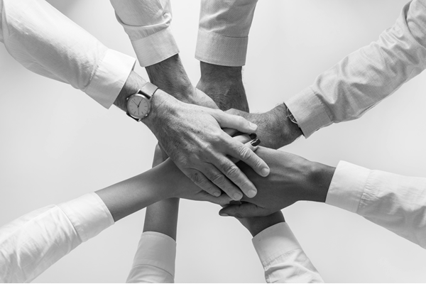 Equipa de Trabalho